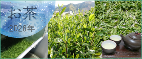 2026年　お茶