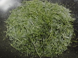 蒼風 手摘み煎茶