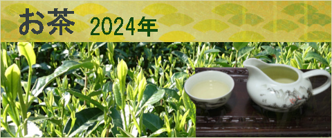 2024年　お茶